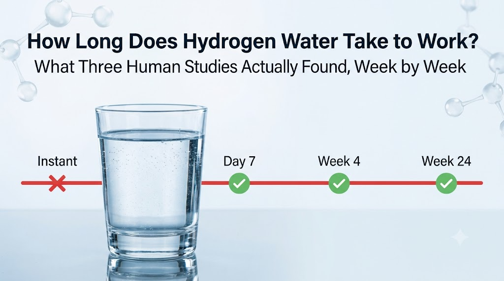 How Long Does Hydrogen Water Take to Work — timeline graphic showing Day 7, Week 4, and Week 24 study checkpoints